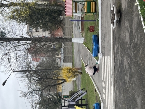 IMG_5728