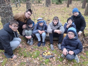 изображение_viber_2026-10-17_12-29-19-086