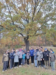 изображение_viber_2026-10-17_12-29-19-163